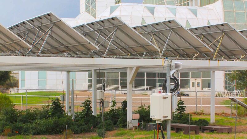 Elevated Solar Panels Over Arizona Farms Reduce Water Use, Boost Crop Yields, and Enhance Worker Comfort While Improving Panel Efficiency