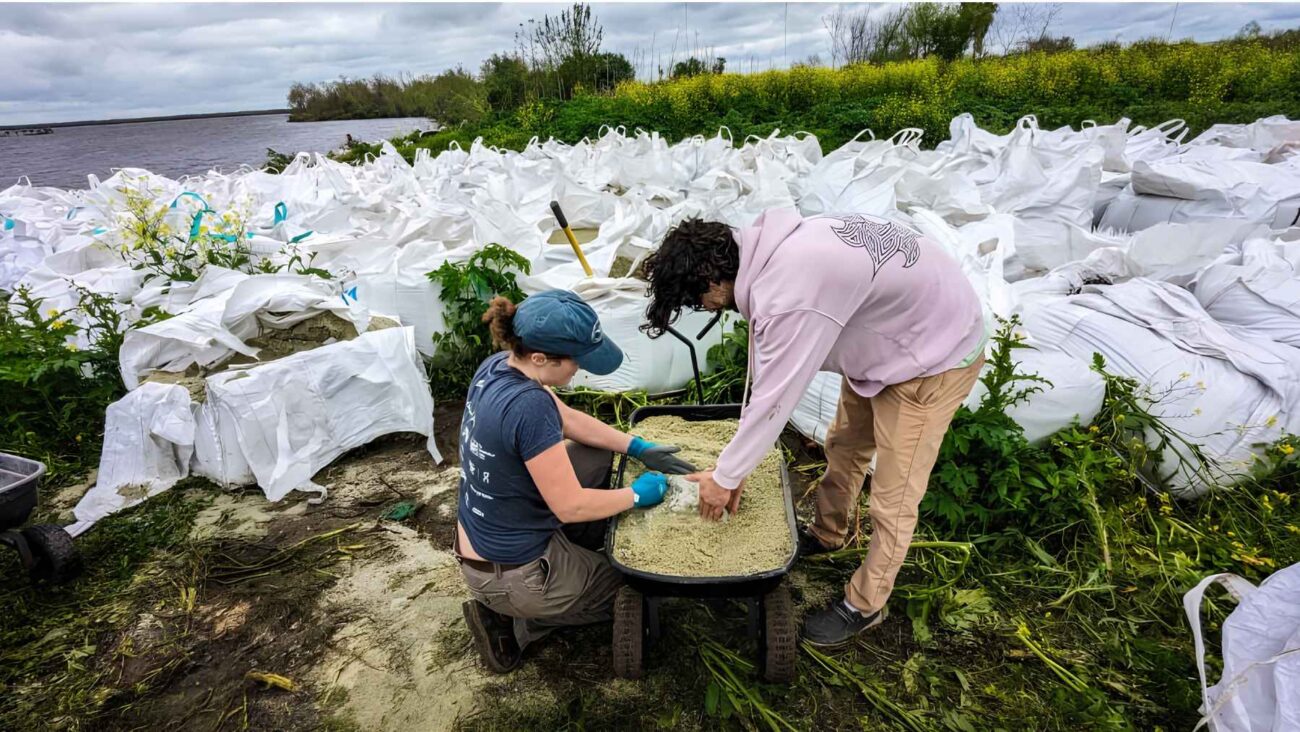 Two university students in New Orleans turned their frustration with bottles going to landfill into a project that has recycled more than 12 million pounds of glass into sand. The recycled material is now being used to rebuild Louisiana’s eroding wetlands and help marsh plants return.