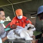 Bhutan has eliminated dog transmitted rabies as a public health problem, with zero human deaths since 2023. WHO has now officially validated the achievement, making Bhutan the first country in Southeast Asia to eliminate the disease.