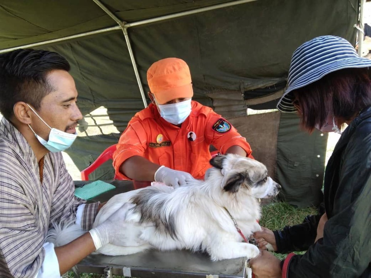 Bhutan has eliminated dog transmitted rabies as a public health problem, with zero human deaths since 2023. WHO has now officially validated the achievement, making Bhutan the first country in Southeast Asia to eliminate the disease.