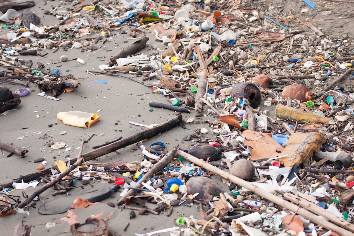 The Ocean Cleanup stopped 463,000 pounds of trash from reaching the Gulf of Honduras in a single catch, using a river barrier in Guatemala to intercept waste before it reaches the Caribbean Sea.